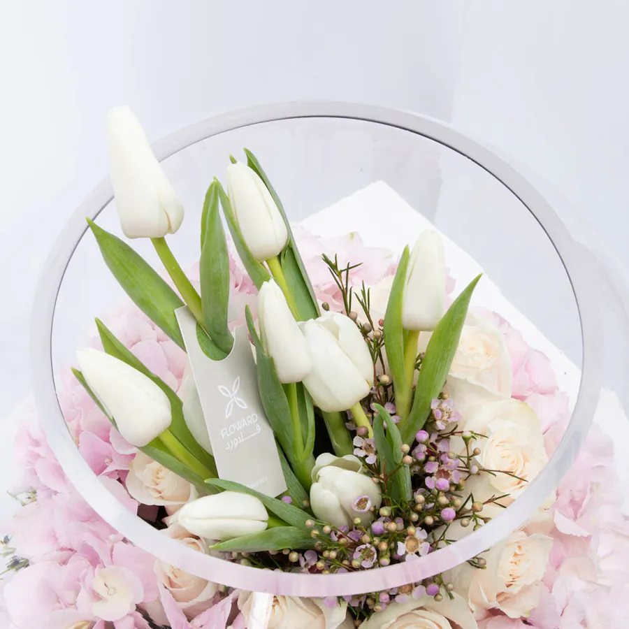 Purity  Garden 3