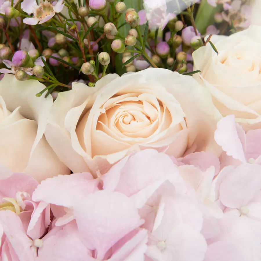 Purity  Garden 5