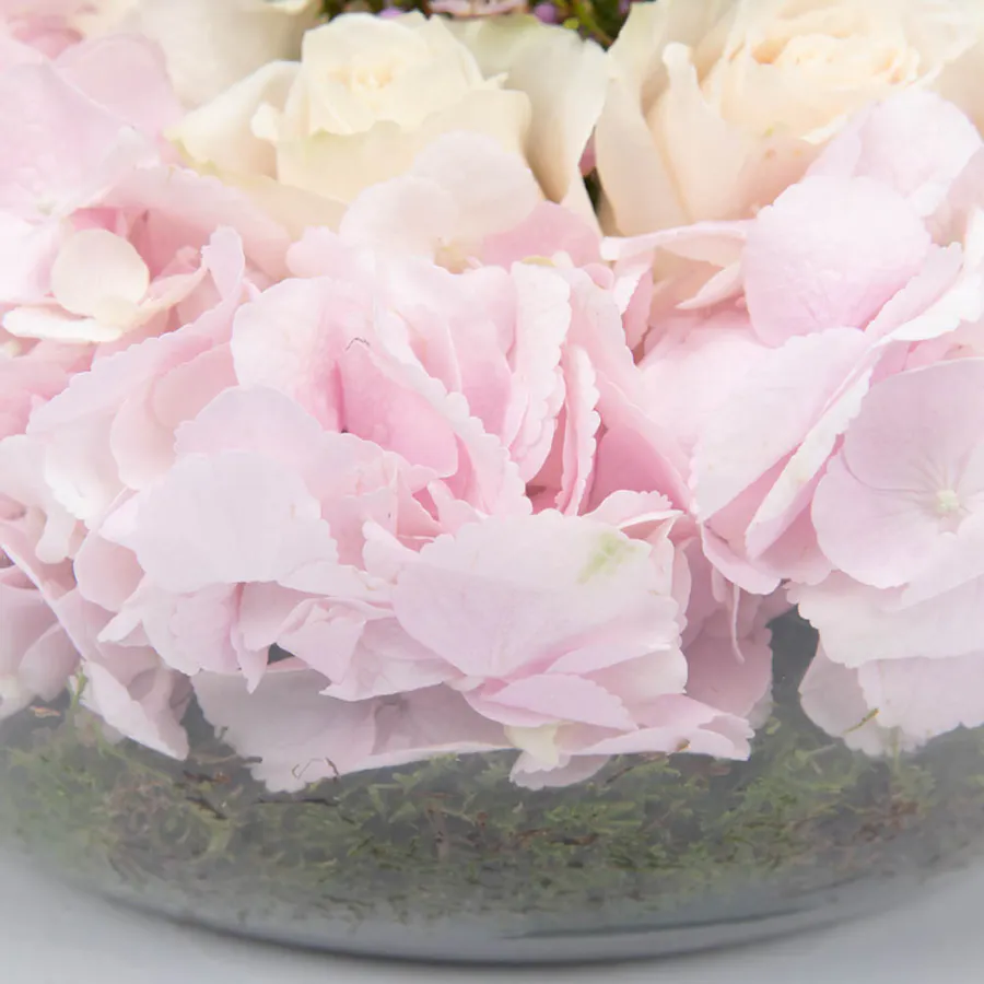 Purity  Garden 6