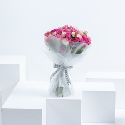 Mixed baby roses II