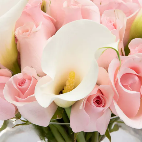 Pink Dream | Roses & Calla