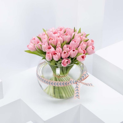 Pink Tulip | Glass Vase