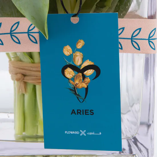 Energetic Aries