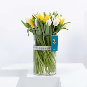 Tulip Vase | Aries Card