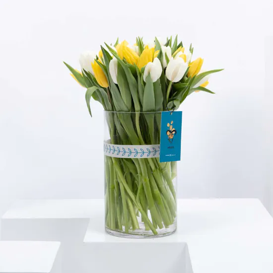 Tulip Vase | Aries Card