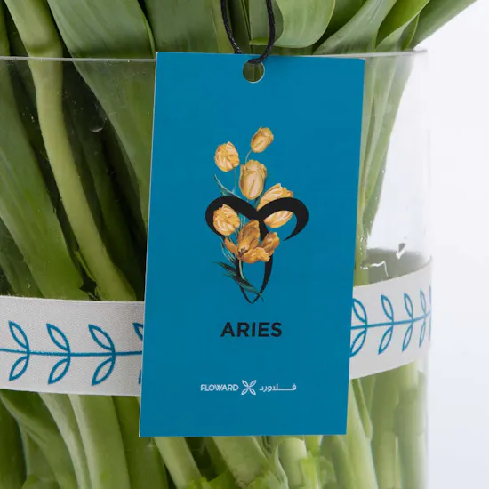 Tulip Vase | Aries Card
