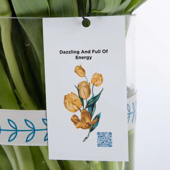 Tulip Vase | Aries Card