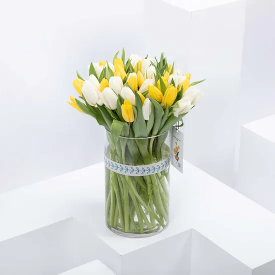 Tulip Vase | Aries Card