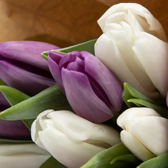 40 Tulip | Hand Bouquet