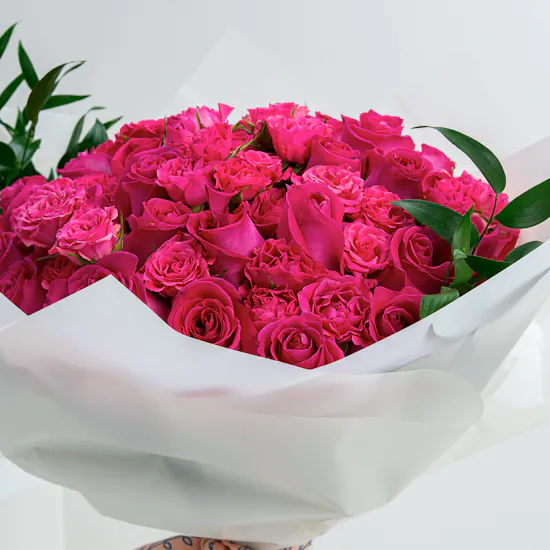 Fucshia | 40 Roses