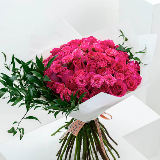 Fucshia | 40 Roses