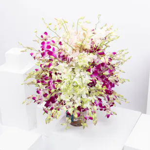 Blossom Trio Orchid Vase