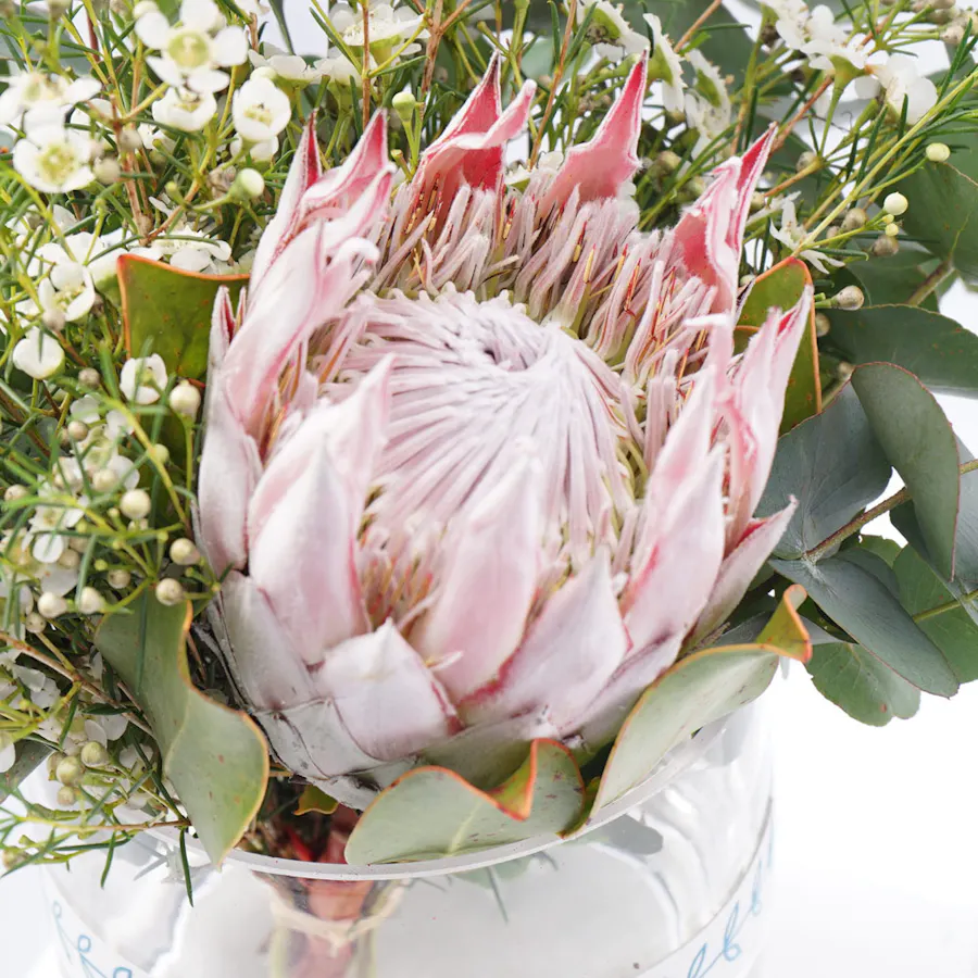 Pretty Protea |  Glass Vase 3