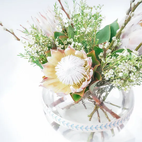 The Magic | Pink Portea & Fish Bowl Vase