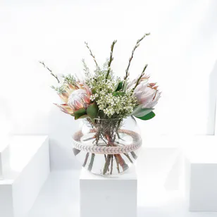 The Magic | Pink Portea & Fish Bowl Vase The Magic | Pink Portea & Fish Bowl Vase