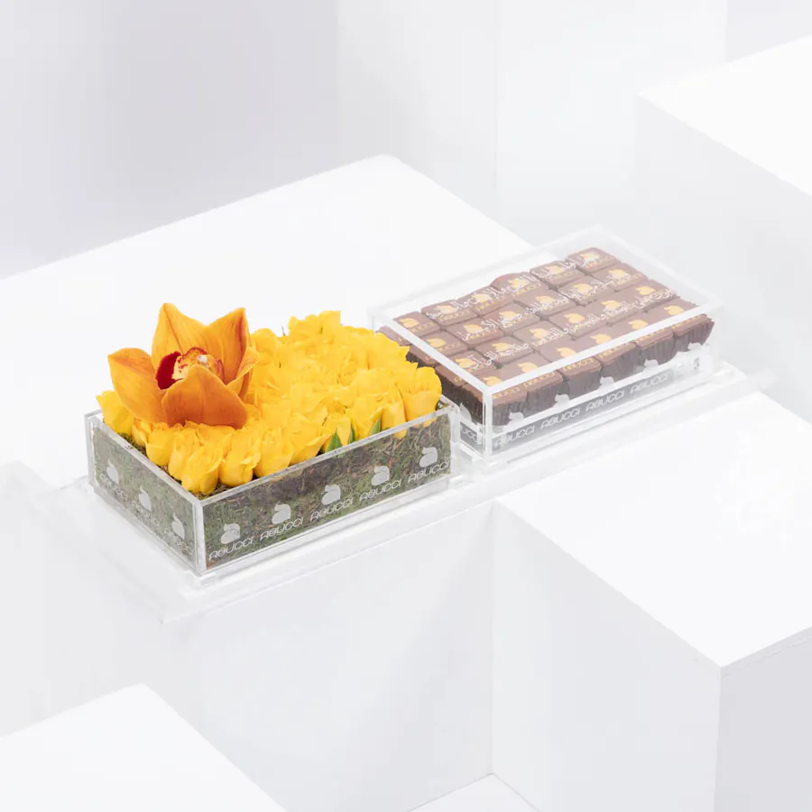 Chocolate by Abucci I 3