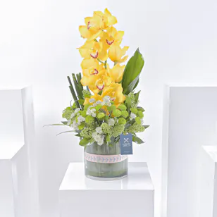 Delightful Yellow | Cylinder Vase Delightful Yellow | Cylinder Vase
