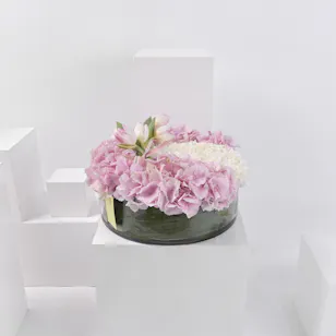 pink crescent pink crescent