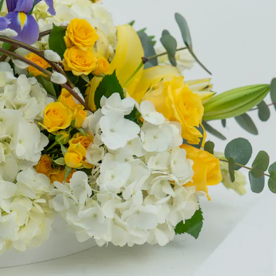 Spring Sun | Flower Tray