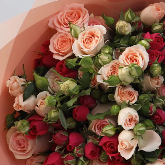 Morning Roses | Pink Wrap