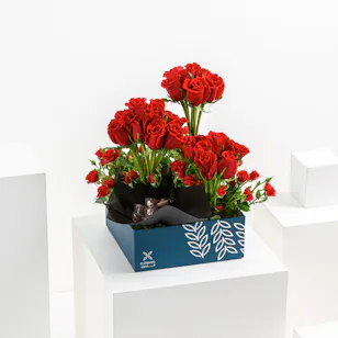 Creative Red | Roses & Chocolate Creative Red | Roses & Chocolate