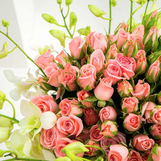 Pink Essence | Glass Vase