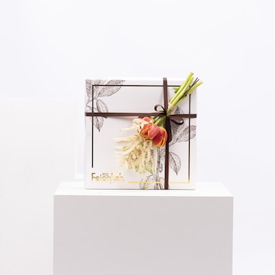 feionkah happy box ||