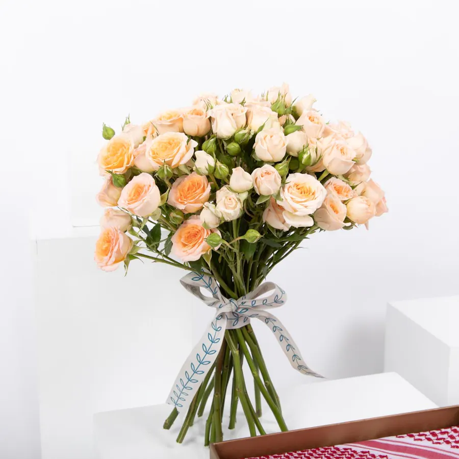 Richy Red Shemmagh | Baby Roses 4