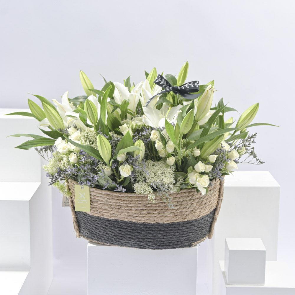 سله الابيض الرائع