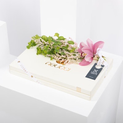 Abucci Box