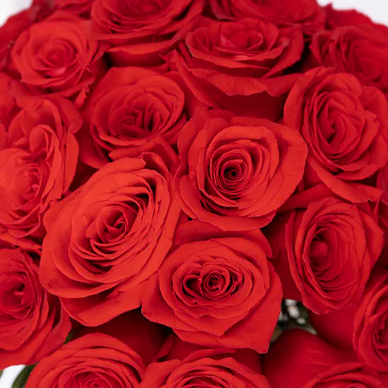 Richy Red Shemmagh | Red Roses