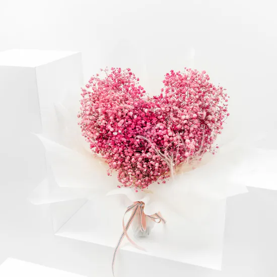 Angel | Pink Gypsophila