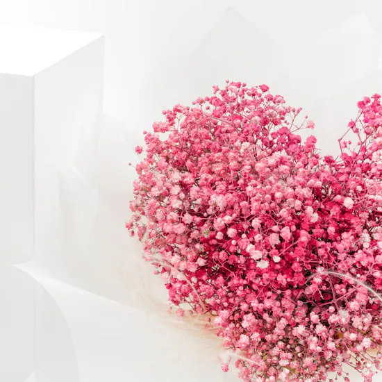 Angel | Pink Gypsophila
