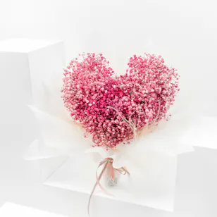 Angel | Pink Gypsophila