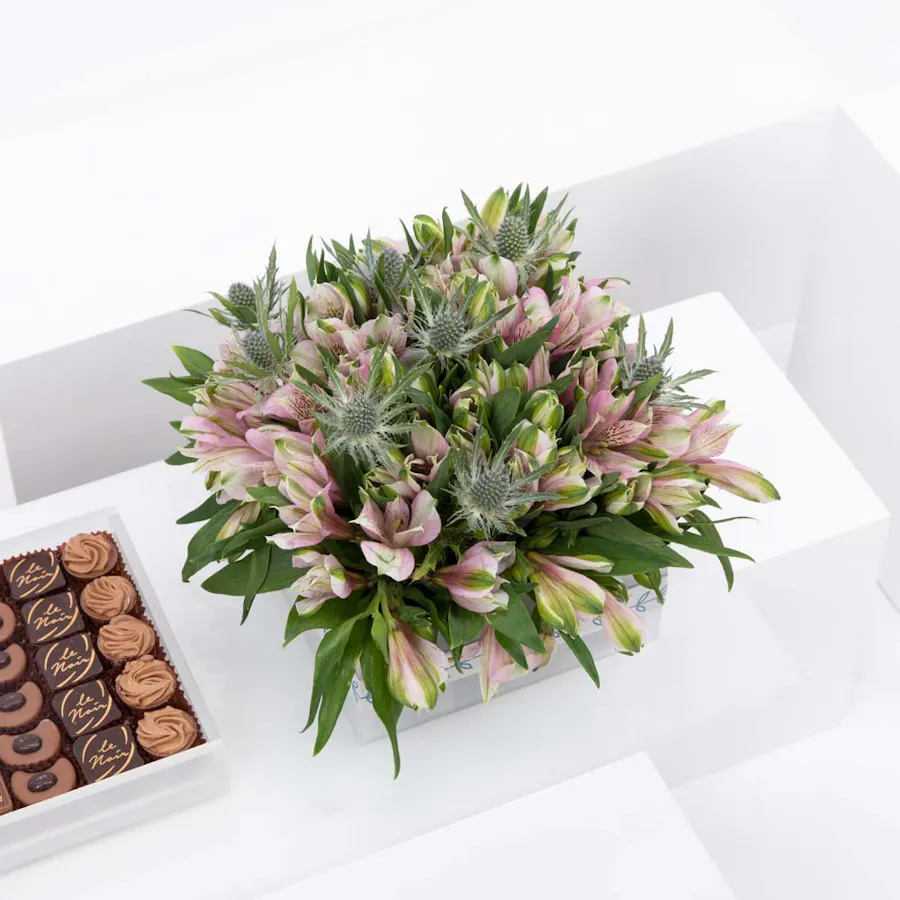 Abucci Chocolate & Alstromeria Tray 4