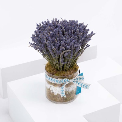 Vase of Lavender I Cancer's Card