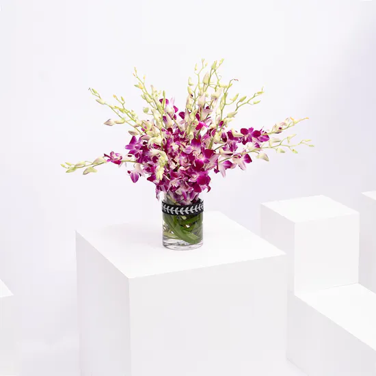 Purply Baby Orchid Vase