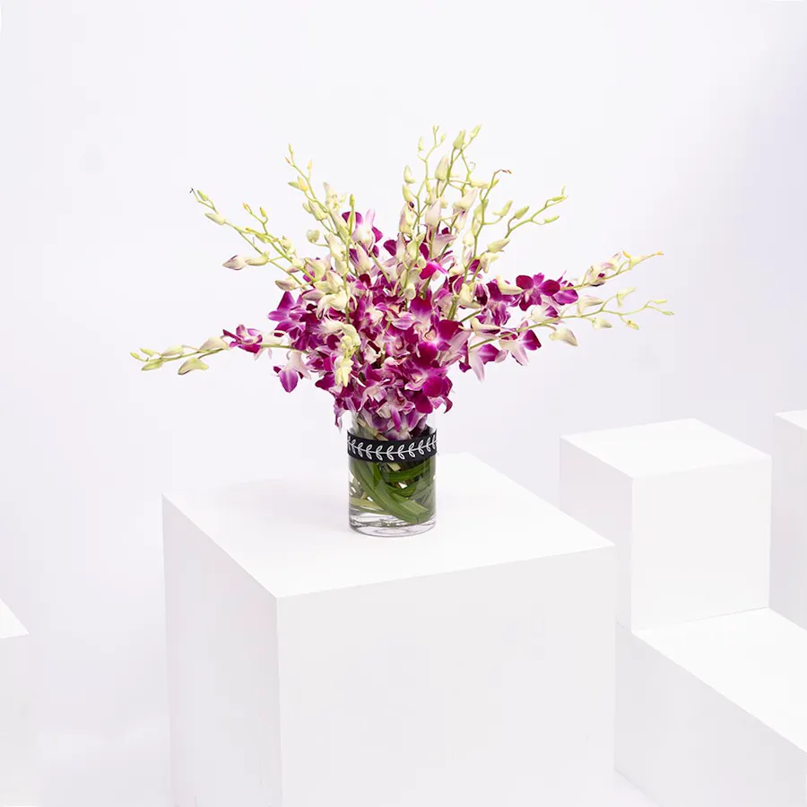 Purply Baby Orchid Vase 3
