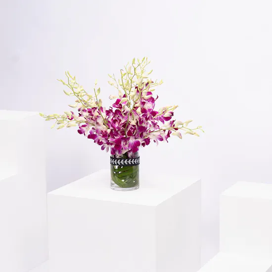 Purply Baby Orchid Vase