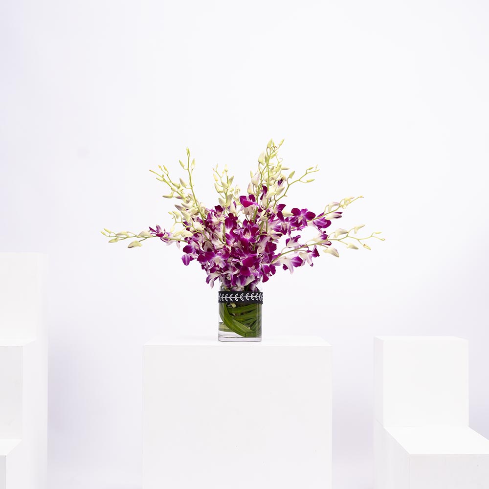 مزهرية بيبي اوركيد بنفسجي