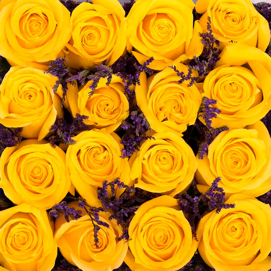 Yellow  chocolate Box 5