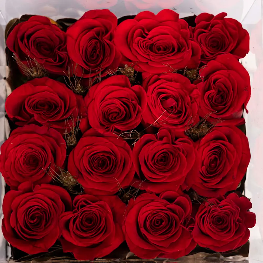 Red chocolate Box 2