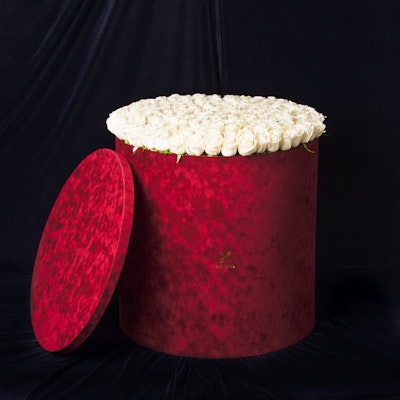 Velvet Luxury
