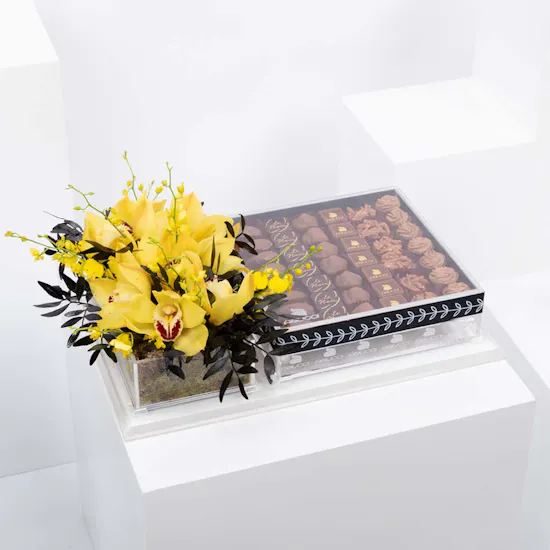 Abucci Chocolate with Yellow Cymbidium