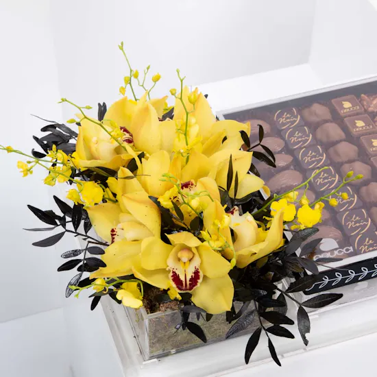 Abucci Chocolate with Yellow Cymbidium