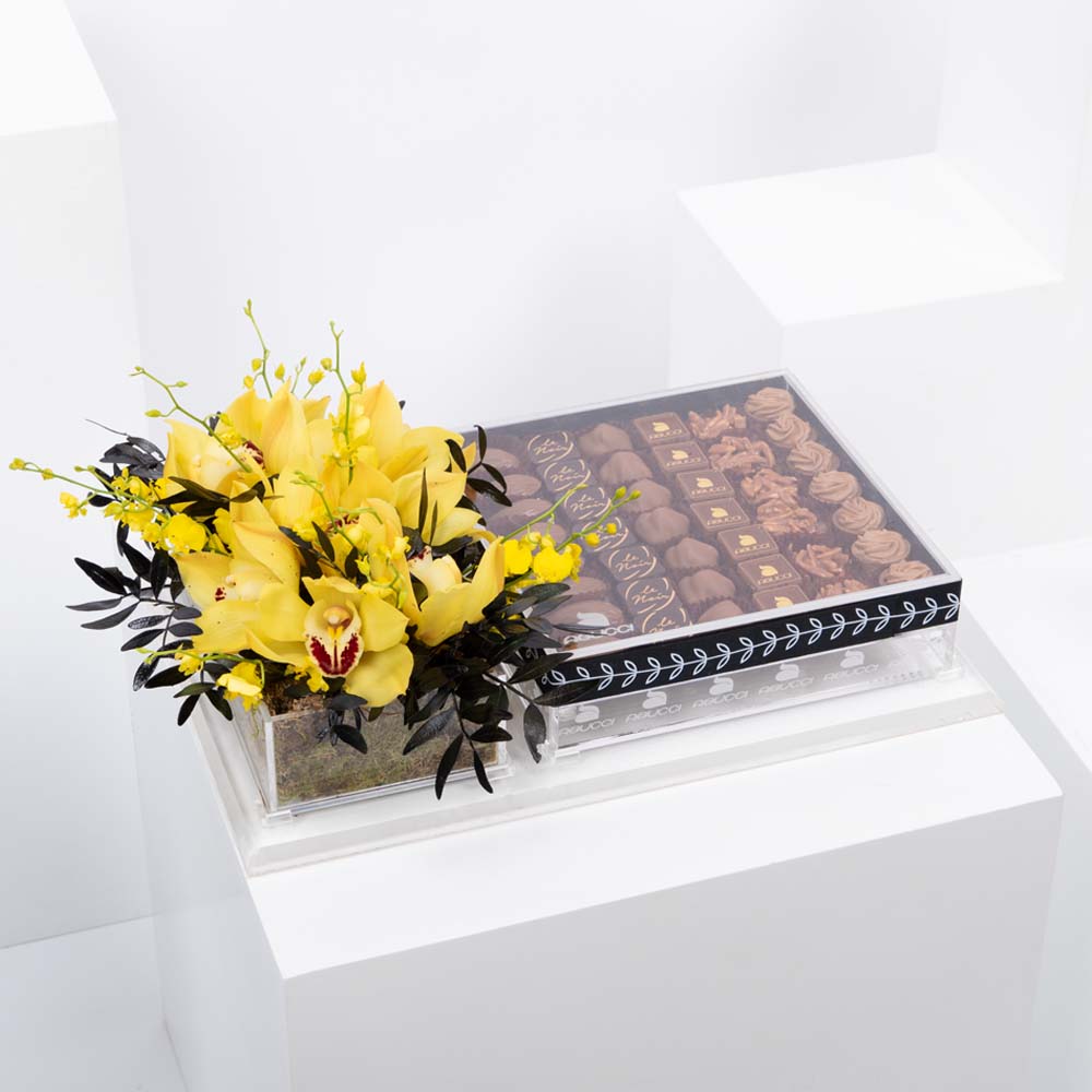 شيكولاته ابوتشي مع السيبيديوم الصفراء