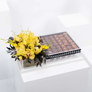 Abucci Chocolate with Yellow Cymbidium Abucci Chocolate with Yellow Cymbidium