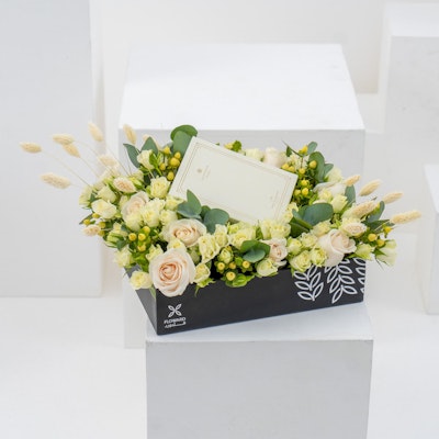 Amal Al Kuwait Bundle