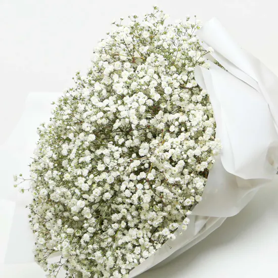 White Baby's Breath Bouquet