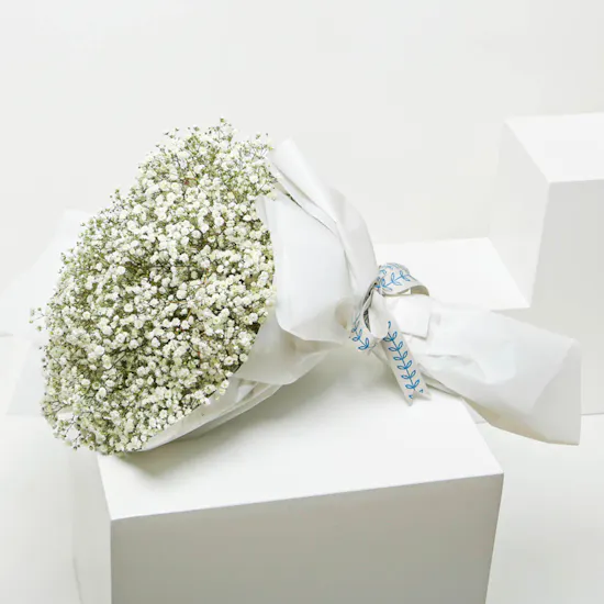 White Baby's Breath Bouquet